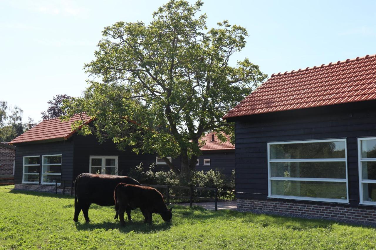 Met De Kippen Op Stok - Vakantiehuisjes Villa Baexem Exterior foto