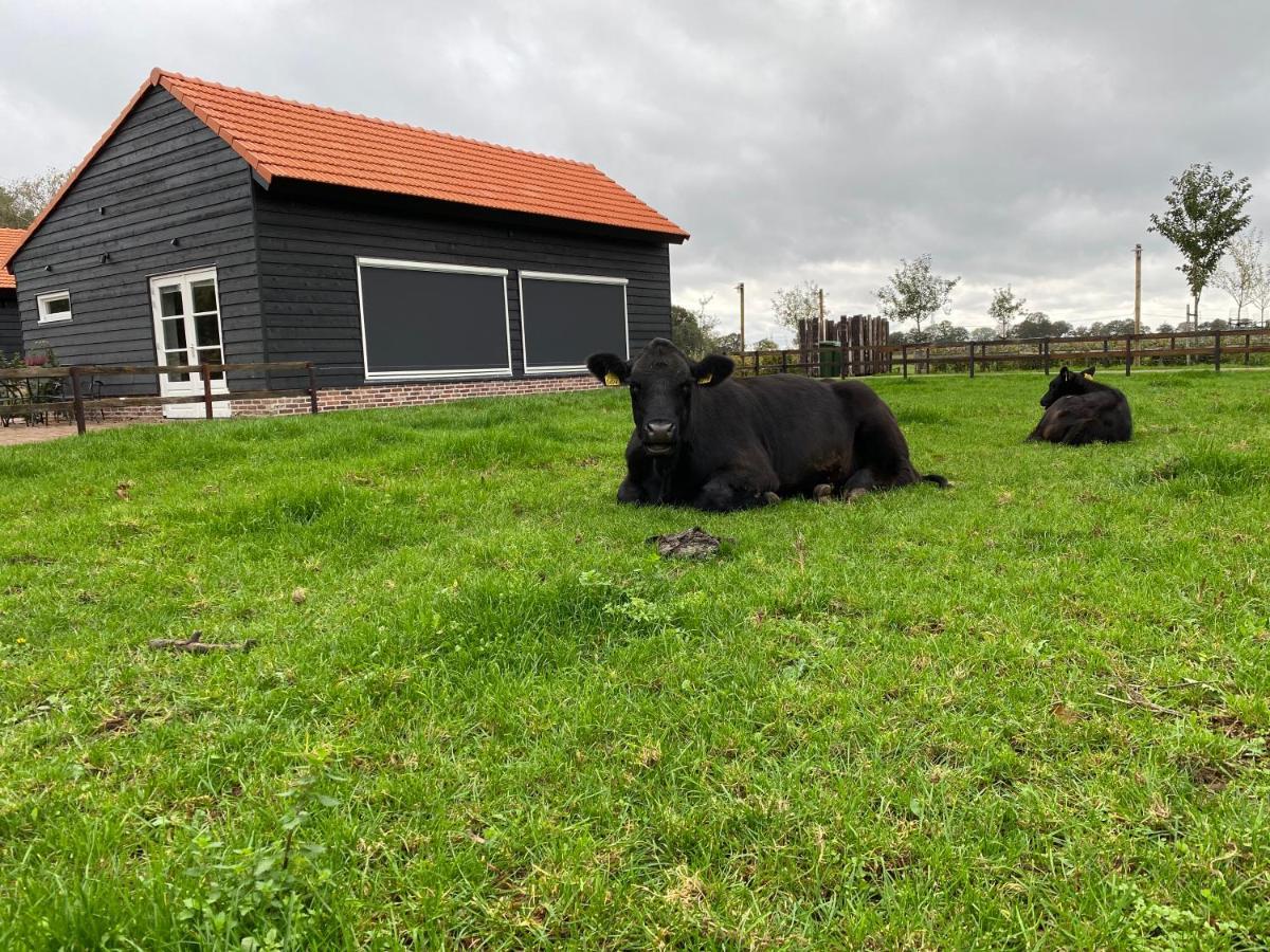 Met De Kippen Op Stok - Vakantiehuisjes Villa Baexem Exterior foto