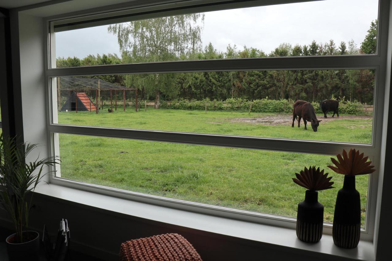 Met De Kippen Op Stok - Vakantiehuisjes Villa Baexem Exterior foto