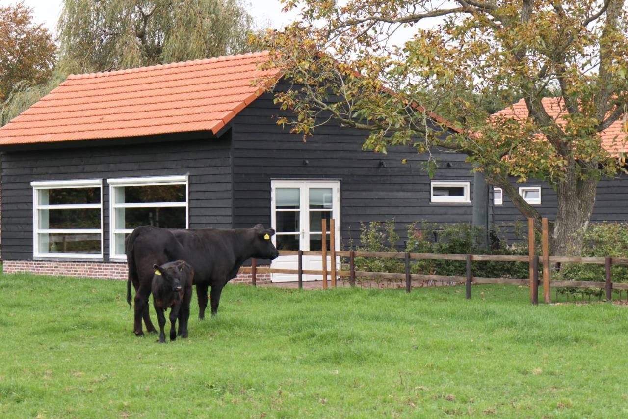 Met De Kippen Op Stok - Vakantiehuisjes Villa Baexem Exterior foto